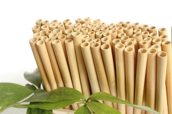 Bamboo Accessories