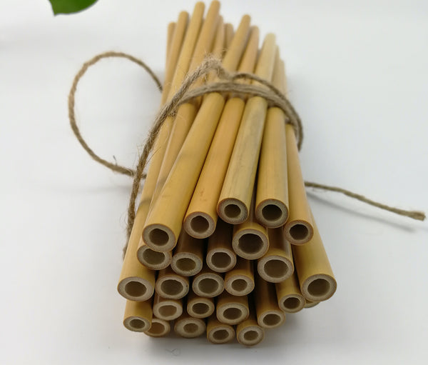 BAMBOO DRINKING STRAWS - Set of 10